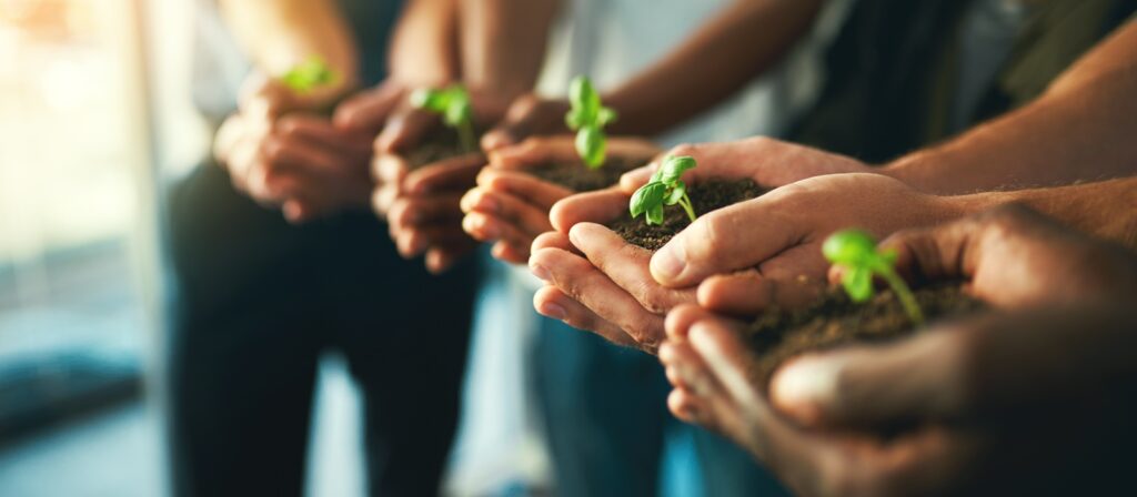 Several people hold small green seedlings with soil in their cupped hands, lined up side by side, symbolising growth, teamwork, and environmental care. Warm light shines on the scene.