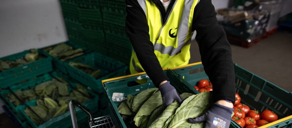 A person wearing a yellow safety vest and gloves sorts leafy greens and tomatoes into green plastic crates in what appears to be a produce storage area.