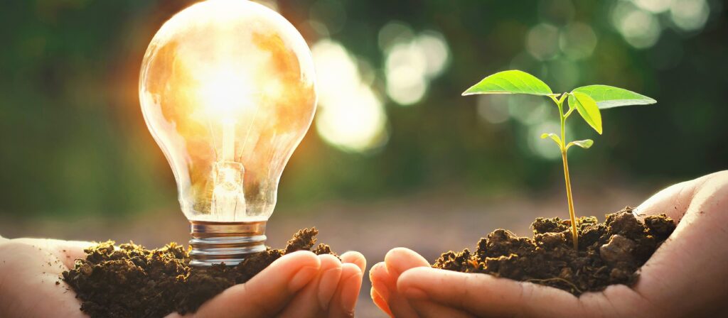 Two hands hold soil; one hand supports a glowing light bulb, and the other holds a small green seedling, symbolising innovation, sustainability, and environmental growth with a blurred green background.
