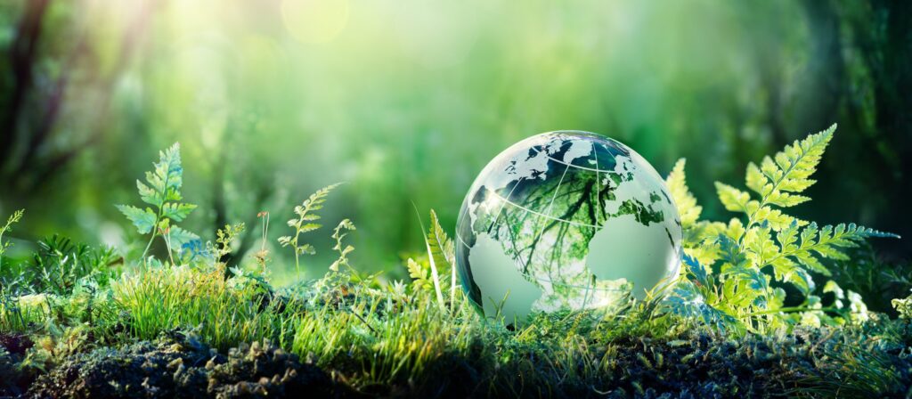 A glass globe rests on vibrant green grass and ferns in a sunlit forest, symbolising environmental conservation and the Earth’s connection to nature. Sunlight streams through the trees, creating a bright, serene atmosphere.